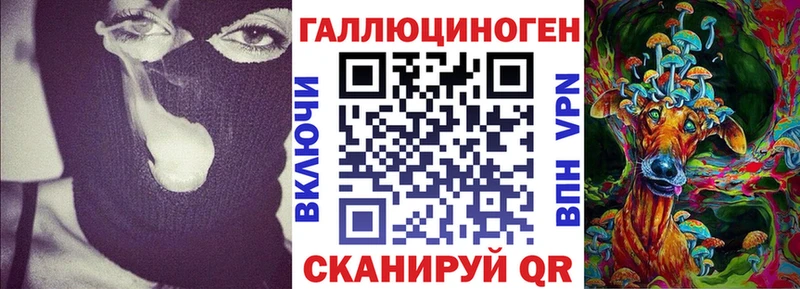 купить наркотики сайты  Ставрополь  Галлюциногенные грибы Cubensis 